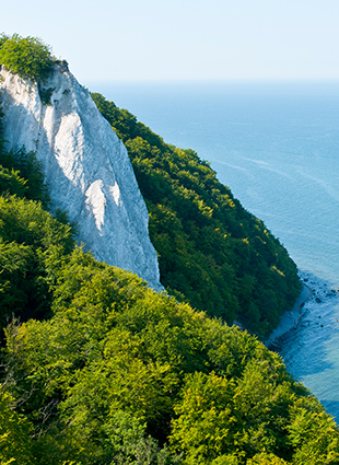 Kreidefelsen und Meer