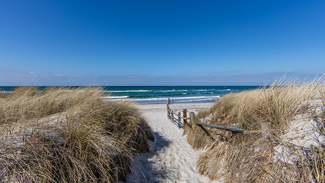 Strand Meer Dünen