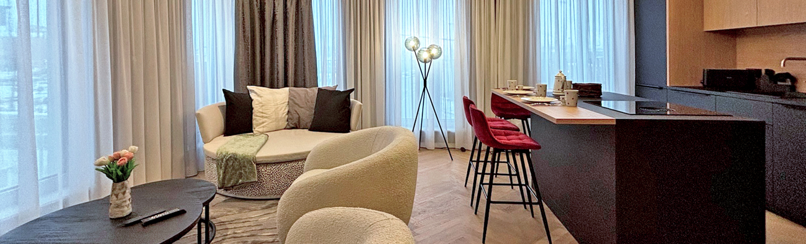 Wismar Boutique Appartements hochwertige Ausstattung Küche Wohnzimmer
